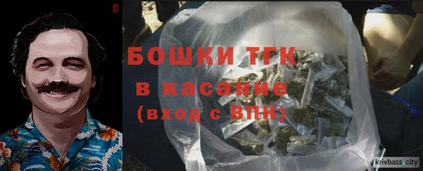 экстази Гусь-Хрустальный