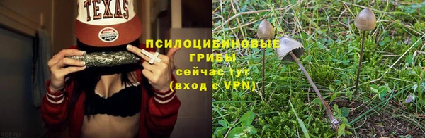ALPHA-PVP Горняк