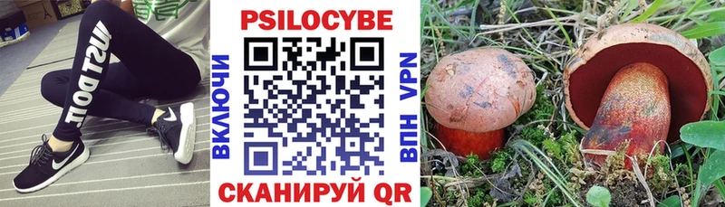 Псилоцибиновые грибы Magic Shrooms  Купить закладки  Курильск 